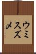 ウミスズメ Scroll