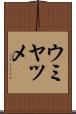 ウミヤツメ Scroll