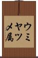 ウミヤツメ属 Scroll