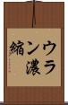 ウラン濃縮 Scroll
