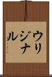 ウリジナル Scroll