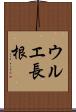 ウルエ長根 Scroll