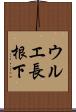 ウルエ長根下 Scroll