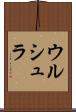 ウルシュラ Scroll