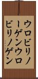 ウロビリノーゲン Scroll