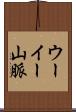 ウーイー山脈 Scroll