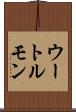 ウートルモン Scroll