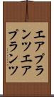 エアプランツ Scroll
