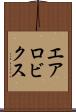 エアロビクス Scroll