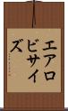 エアロビサイズ Scroll