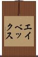 エイベックス Scroll