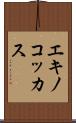 エキノコッカス Scroll
