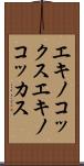 エキノコックス Scroll