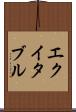 エクイタブル Scroll