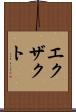 エクザクト Scroll