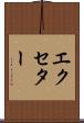 エクセター Scroll