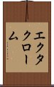 エクタクローム Scroll