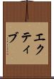 エクティブ Scroll