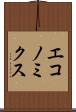 エコノミクス Scroll