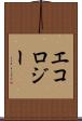 エコロジー Scroll
