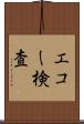 エコー検査 Scroll