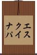 エスクイナパ Scroll