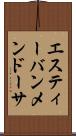 Estevan Mendoza Scroll