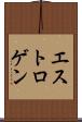 エストロゲン Scroll