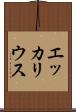 エッカリウス Scroll