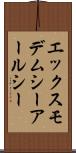 エックスモデムシーアールシー Scroll