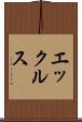 エックルス Scroll