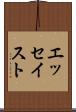 エッセイスト Scroll