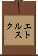 エトルスク Scroll