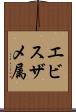 エビスザメ属 Scroll