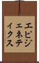 エピジェネティクス Scroll