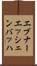 エブナーエッシェンバッハ Scroll