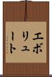 エボリュート Scroll