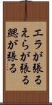 エラが張る Scroll