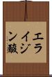 エライジン酸 Scroll