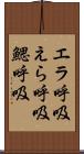 エラ呼吸 Scroll