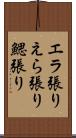 エラ張り Scroll