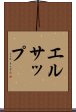 エルサップ Scroll