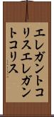 エレガントコリス Scroll