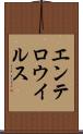 エンテロウイルス Scroll