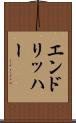 エンドリッハー Scroll