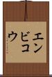エンビコウ Scroll