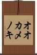 オオカメノキ Scroll