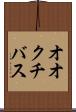 オオクチバス Scroll