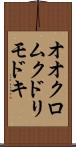 オオクロムクドリモドキ Scroll