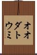 オオダトウミ Scroll